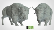 1:72 Scale - Bison